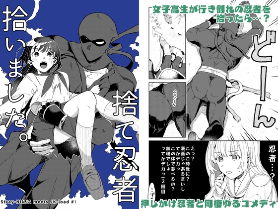捨て忍者拾いました。