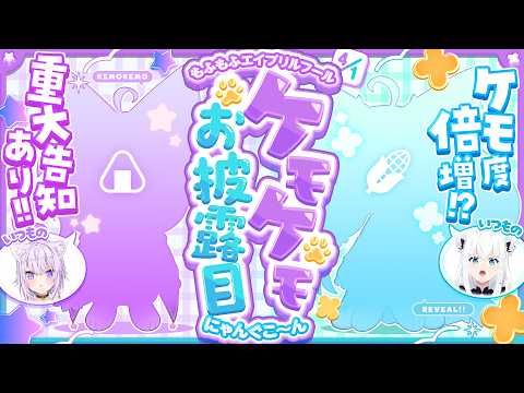 【お披露目】にゃんぐこーん　ケモケモお披露目でケモ度倍増！？【白上フブキ/猫又おかゆ/ホロライブ】 サムネイル