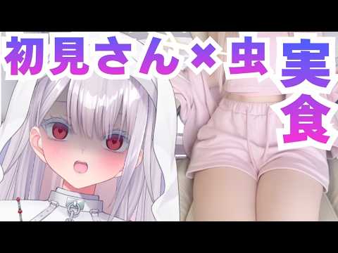 【実写】初見さん×虫実食飲酒雑談配信！初見さん歓迎！新人vtuber 個人勢vtuber ＃Vtuber サムネイル
