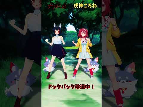 「hololive」「ドッタバッタ珍道中！」　@OokamiMio 　@InugamiKorone 　shorts サムネイル