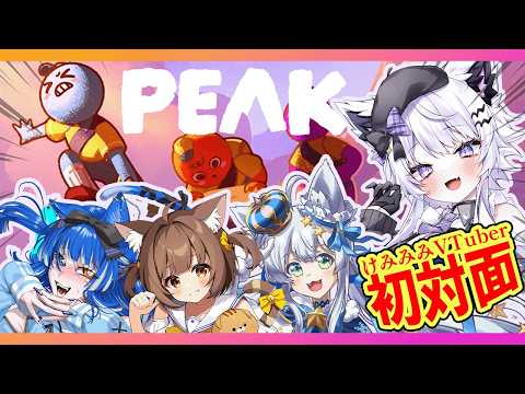 【PEAK】初対面けもみみ4人でいくつ山を登れるのか！？【朝活VTuber ｜羽瑠流ウル】 サムネイル
