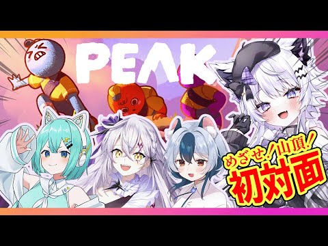 【PEAK】初対面4人！やってやりましょう…仲良く山頂↑【朝活VTuber ｜羽瑠流ウル】 サムネイル