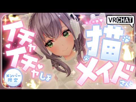 【メンバー限定】1日遅れのノエねこ🐱💗ジャージ猫メイドさんとイチャイチャする人～！【白銀ノエル/hololive】 サムネイル