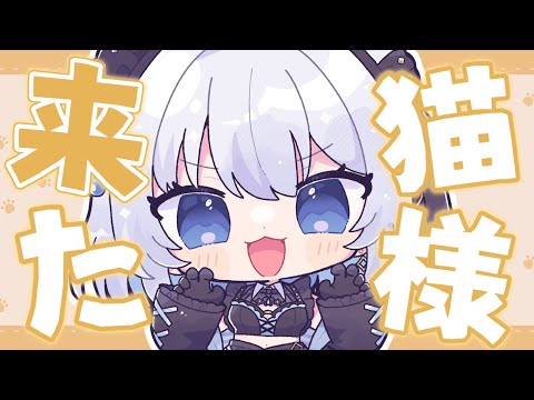 【飲酒雑談】我が家に猫様が来たのでみんなで迎えよう！【葵井詩雫3Dクラファン】 vtuber talk サムネイル