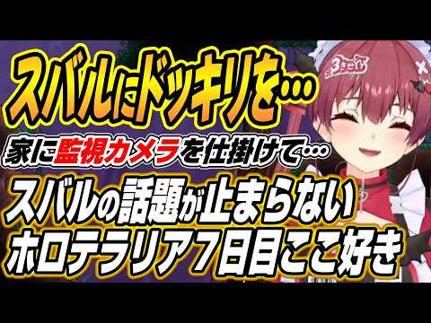 【hololive切り抜き/宝鐘マリン】スバル不在も話題が止まらないテラリア７日目ここ好きまとめ【白銀ノエル/白上フブキ/大… サムネイル