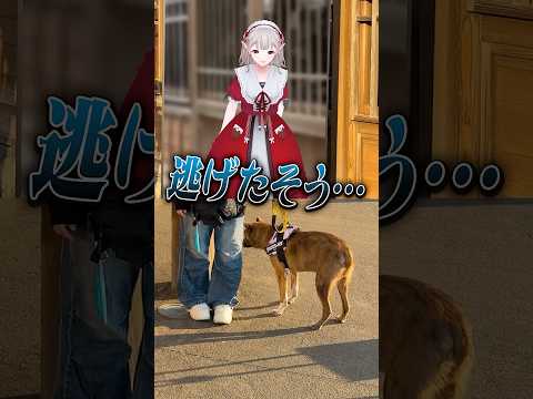 えるが羽生の皆さんと交流！【Part6】 にじおじゃ nijisanji える サムネイル