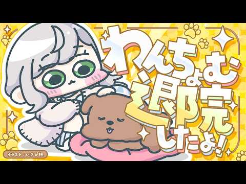【朝活雑談】わんちょむ無事手術成功＆退院しました！＋ゆるゆるホロメントークなど！【白銀ノエル/hololive】 サムネイル
