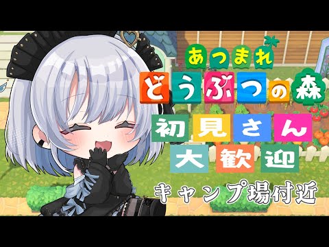 【あつまれどうぶつの森】キャンプ場付近を整えていきます！初見さん大歓迎！【葵井詩雫】 サムネイル