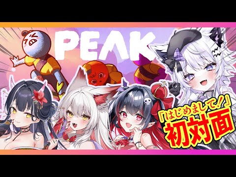 【PEAK】ギスギスは嫌ッ！初対面4人の協力プレイで目指せ山頂【朝活VTuber ｜羽瑠流ウル】 サムネイル