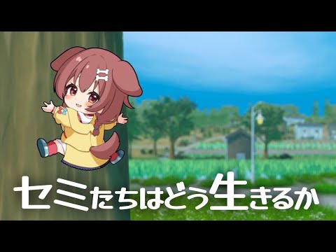 セミの人生はこちら↑ サムネイル