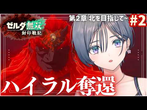 ゼルダ無双│アクションが爽快で楽しすぎる神ゲー！ハイラルを奪還していくぞ！【綺沙良/にじさんじ】