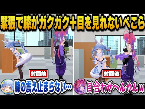 初対面配信でヴィヴィに会う緊張で膝の震えが止まらず対面後もヴィヴィと目を合わせられないぺこらｗ【hololive切り抜き/兎… サムネイル