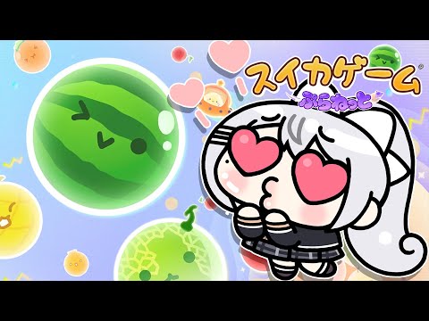 【スイカゲーム ぷらねっと】スイカ…ですか？俺は、好きですよ。【nijisanji / 樋口楓】 サムネイル