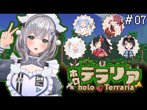 【ホロテラリア】ハードモード突入！！！タイムカードﾋﾟｯ！愉快な仲間たちとテラリアはじめる太郎！【白銀ノエル/ホロライ… サムネイル