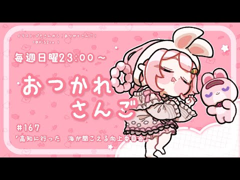 【おつかれさんご】高知県のどん共さん、お願いします。　ゆるゆる定期雑談！第167回！【周央サンゴ】 サムネイル