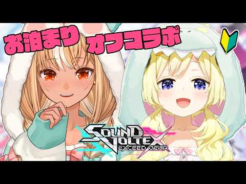 【 SOUND VOLTEX 】フレわた!お泊まりオフコラボ!初心者なので教えてもらう🎶【角巻わため/ホロライブ4期生】