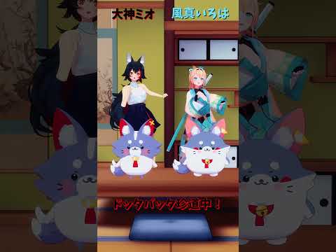 「hololive」「ドッタバッタ珍道中！」各チャンネルに飛べます→　@OokamiMio 　@kazamairoha 　s… サムネイル