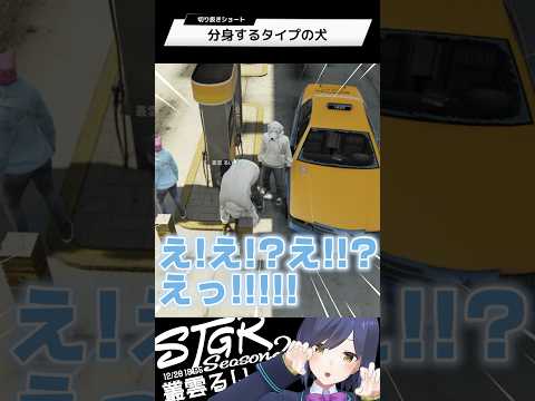 分身するタイプの犬 | ストグラ | 静凛 shorts サムネイル