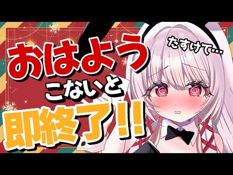 【 朝活 / 耐久 】⚠️初見さん常連さん急募⚠️『おはよう』止まったら即終了！？【 323みすみ / vsinger… サムネイル