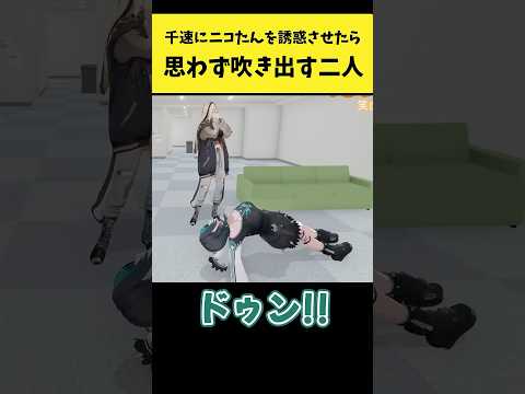 千速にニコたんを誘惑させたら思わず吹き出す二人【輪堂千速/虎金妃笑虎/ホロライブ切り抜き】shorts サムネイル