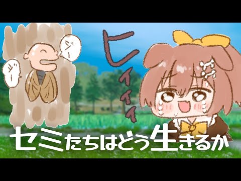 セミの人生の続きはコチラ↑ サムネイル