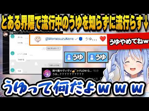 とある界隈で流行中の『うゆ』を知らずに流行らせるぺこらｗ【ホロライブ切り抜き/兎田ぺこら】 サムネイル