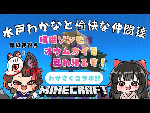 【 マイクラ 】わかさくマイクラ！＜珊瑚ソンビオウムガイ＞ 9  🌸早紅夜／水戸わかな🌸【統合版 Minecraft… サムネイル
