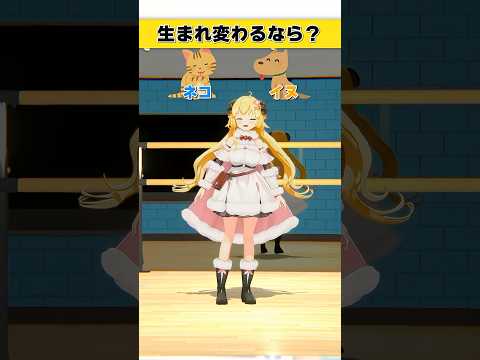 生まれ変わるなら？ネコ or イヌ【 今日のわため 】 shorts hololive  vtuber サムネイル