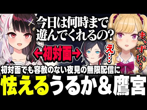 無限族、夜見とうるかの初邂逅をみまもる鷹宮くん【nijisanji/鷹宮リオン】 サムネイル