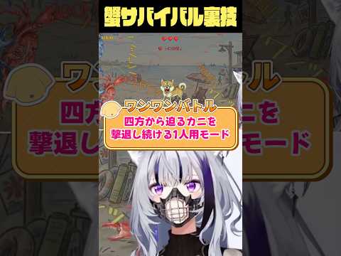 【ガチ攻略】リップロールで高得点を目指せ‼️ワンワンバトル サムネイル