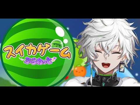【スイカゲーム ぷらねっと】新作スイカゲームでダブルスイカの夢を見る会【叢雲カゲツ/nijisanji】 サムネイル