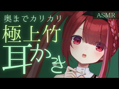 【ASMR/3Dio】いろんな竹でカリカリ耳かき。耳垢が取れる耳掃除。睡眠┆囁き┆Earcleaning┆Whispe… サムネイル