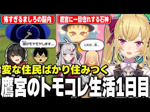 【トモコレ】鷹宮くんの島のヤバい住人達【にじさんじ/鷹宮リオン 舞元 倉持 石神 風楽 ましろ】 サムネイル