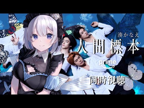 【同時視聴３話～】「人間標本」気になったので一緒に見てみませんか？【あおい配信】 vtuber talk サムネイル
