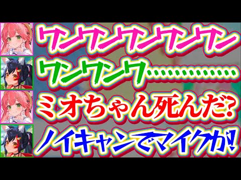 【ホロメン凸待ち】ホロメン最強と謳われるミオしゃと『ワンワン吠えバトル』した結果、ガチすぎる吠えにノイキャンされてしま… サムネイル