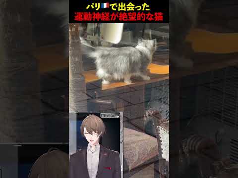 パリ🇫🇷で出会った運動神経が絶望的な猫  加賀美ハヤト nijisanji shorts サムネイル