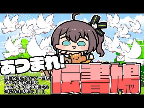 【伝書鳩】鳩が集まる配信【ホロライブ/夏色まつり】 サムネイル