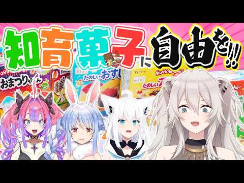 ホロメンが全力でつくった知育菓子を見てくれ！！ ししろんのゴールデンなウィーク ④【獅白ぼたん/ホロライブ】 サムネイル