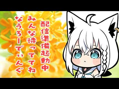 【メン限 】月末定期ASMR　2026.04　フブキングダム総会【白上フブキ/ホロライブ】 サムネイル