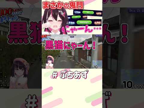 にゃんてこった♪【hololive / AZKi】ぷちあず shorts 耐久 GeoGuessr 猫 ジオゲッサー にゃ～ん サムネイル