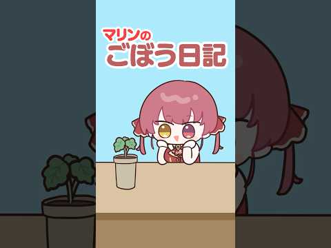 ゴボウ栽培キットに挑戦するマリン船長shorts サムネイル