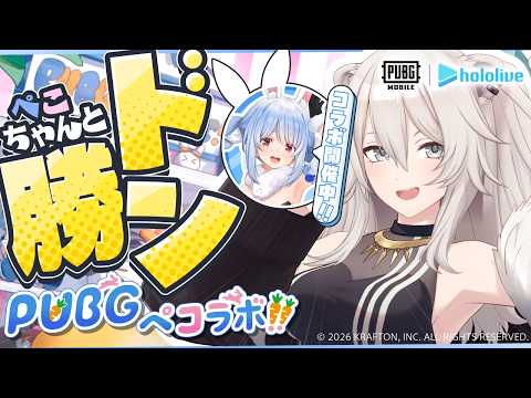 【PUBGモバイル】ぺこちゃんと一緒にドン勝を目指すぞい～！【獅白ぼたん/ホロライブ】 サムネイル