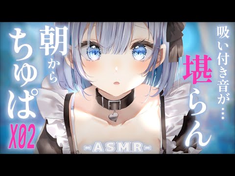 【 ASMR ｜ 黒Dio 】吸い付く音がめちゃくちゃ気持ちいい♡ 朝からお耳のマッサージ♡【 あおい配信 】吐息/耳… サムネイル