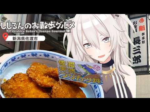 【新潟/佐渡島】天然ブリかつ丼、ひと口で優勝!佐渡に行くなら絶対食べてほしい-ししろんのお散歩グルメ【獅白ぼたん/ホロ…