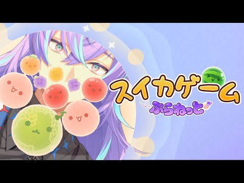 【スイカゲーム ぷらねっと】最近スイカゲームにはまっている男の新作スイカゲーム【星導ショウ/nijisanji】 サムネイル