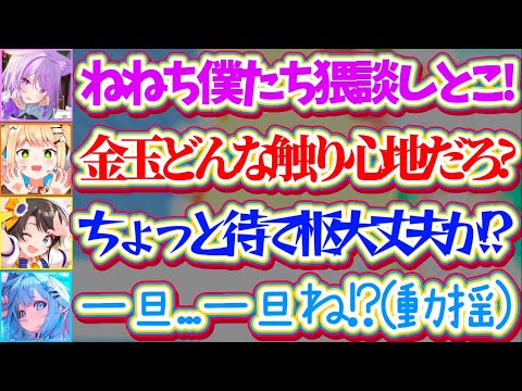 【ホロドラゴンマイクラ】下ネタに耐性のない後輩の前で『猥談』を繰り広げるねねちとおかゆを前に、後輩を気遣うスバルと動揺… サムネイル