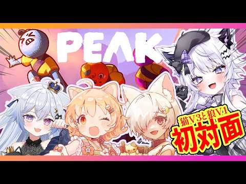 【PEAK】初対面猫まみれに一匹狼！？果たして…山登りは成功するのか？【朝活VTuber ｜羽瑠流ウル】 サムネイル