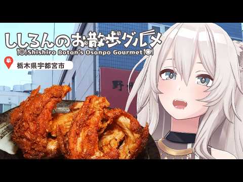 【栃木】なんだこのでっかい唐揚げ！宇都宮のソウルフード「かぶと揚げ」に初対面－ししろんのお散歩グルメ【獅白ぼたん/ホロ… サムネイル