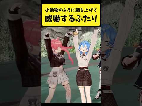 小動物のように腕を上げて威嚇するみこめっと【さくらみこ/星街すいせい/ホロライブ切り抜き】shorts サムネイル