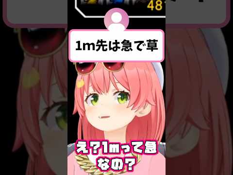 『みこめっとのカーナビ』が発売されたらこんな感じになる【さくらみこ/星街すいせい/hololive切り抜き】shorts サムネイル